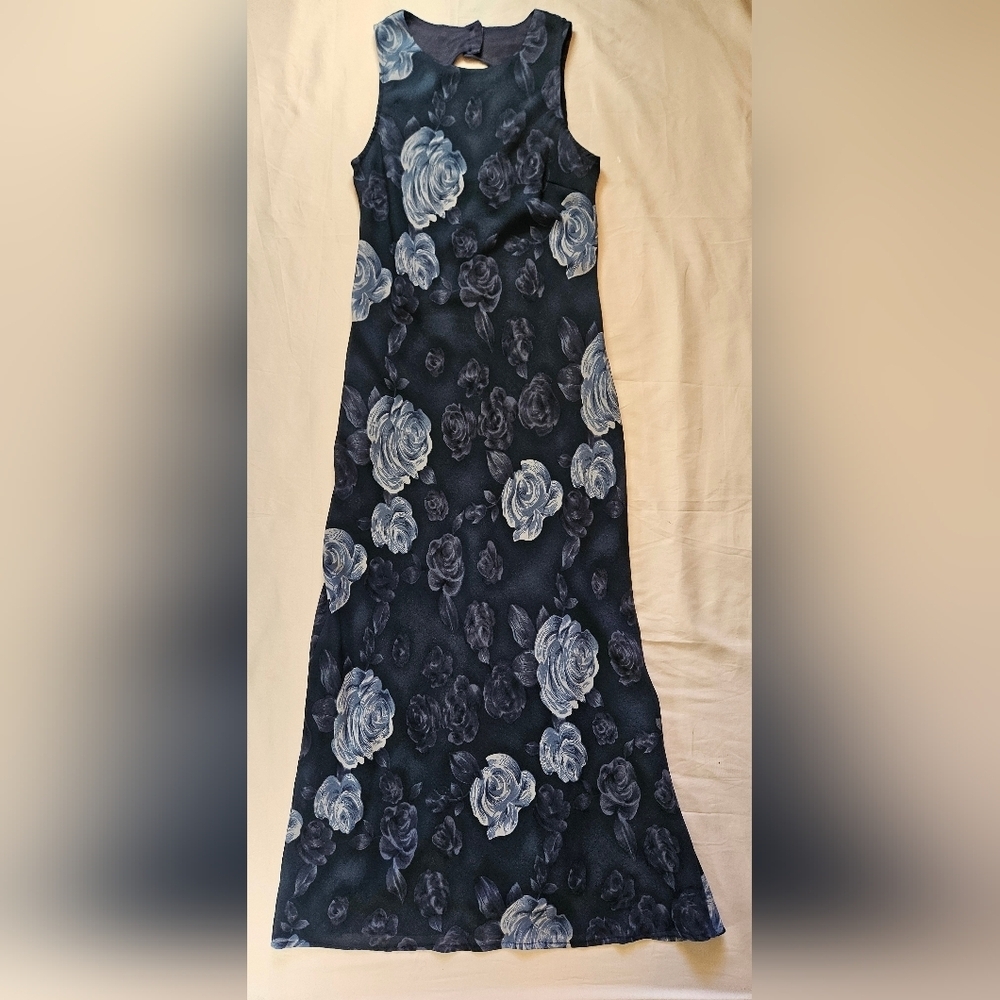 Johnnie M. Womens Blue Floral Sleeveless 2 Button Closure Maxi Dress Size 4